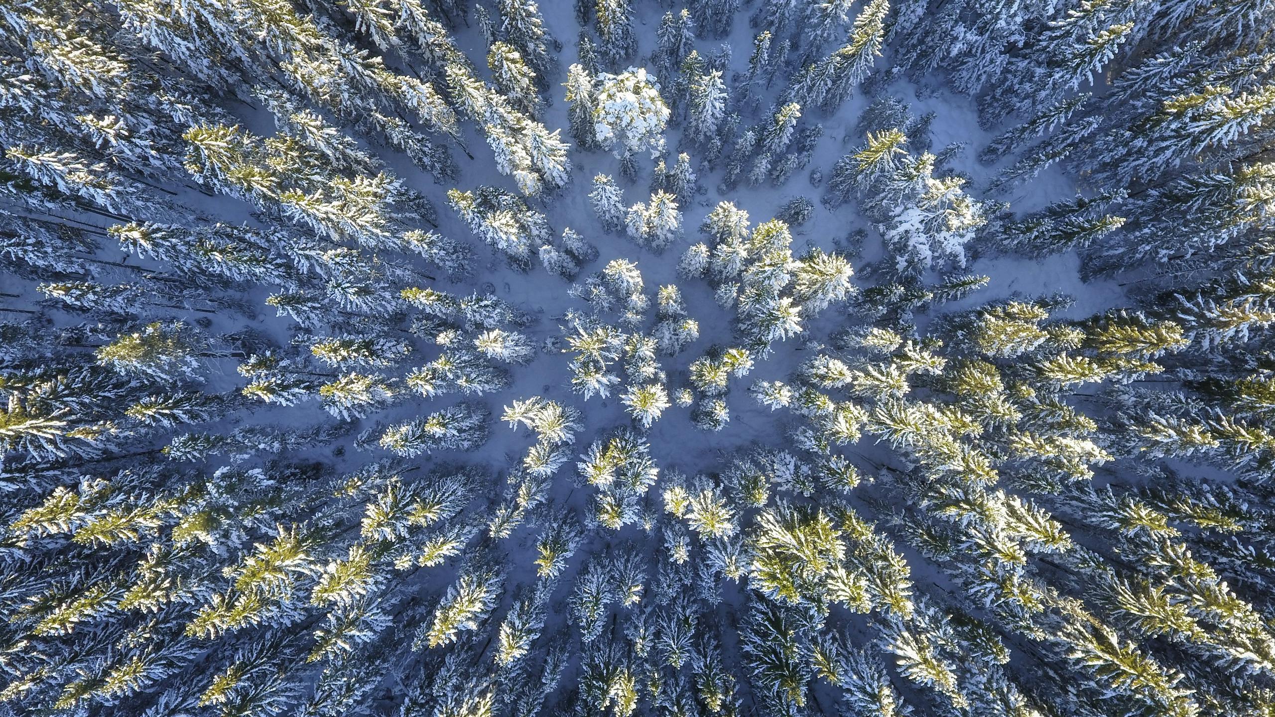 Заголовок